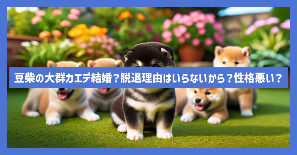 豆柴の大群カエデ結婚？脱退理由はいらないから？性格悪い？